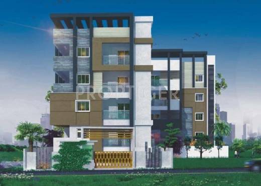 Images for Elevation of SML Maple Tree