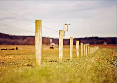 Images for Main Other of Shiva Mysuru Oxygen Images for Main Other of Shiva Mysuru Oxygen