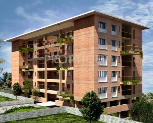 Images for Elevation of Good Hues of Life Images for Elevation of Good Hues of Life