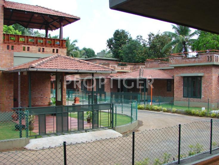 Images for Elevation of Good Hallmark