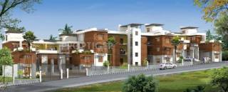 Project Image Project Image