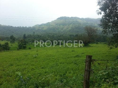  homes Images for Elevation of Newage Homes