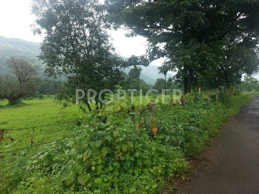 homes Images for Elevation of Newage Homes