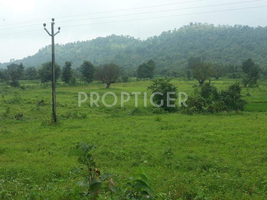 homes Images for Elevation of Newage Homes