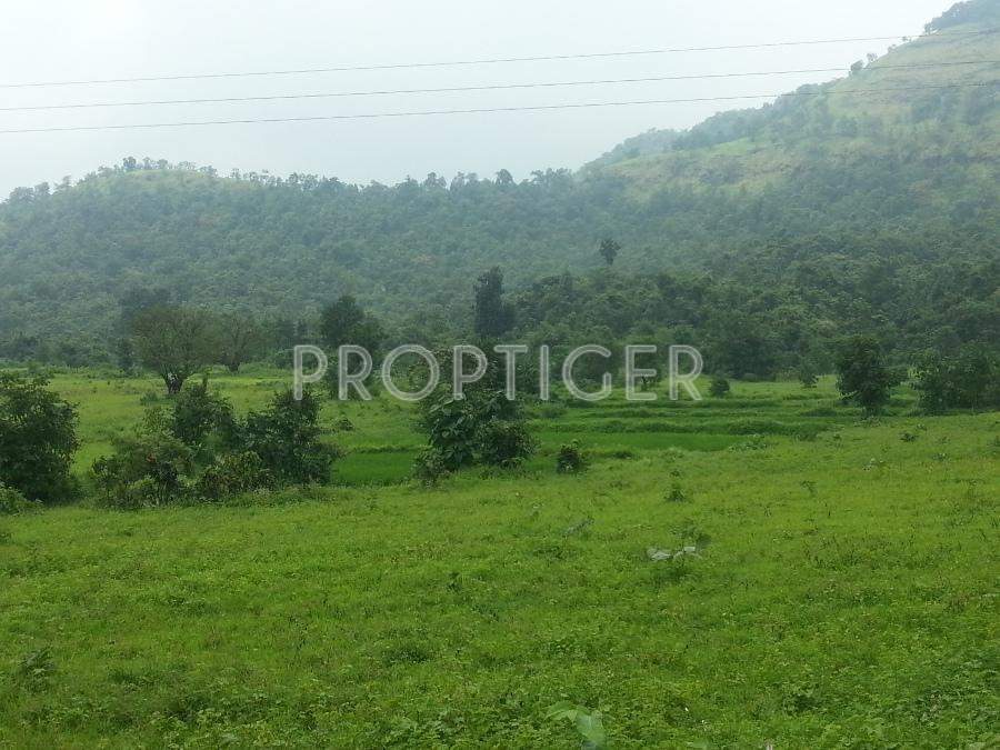 homes Images for Elevation of Newage Homes