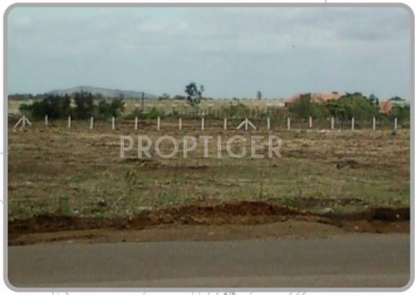 Images for Elevation of ABC Olive Yards Images for Elevation of ABC Olive Yards