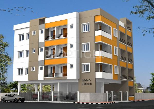 Elevation Build Tech Constructions Malars Hibiscus Elevation