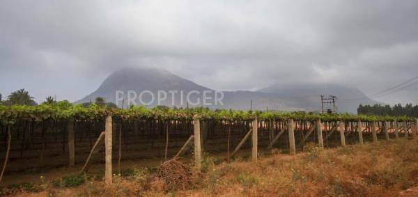 Images for Elevation of THRIVE360EAST Xanadu