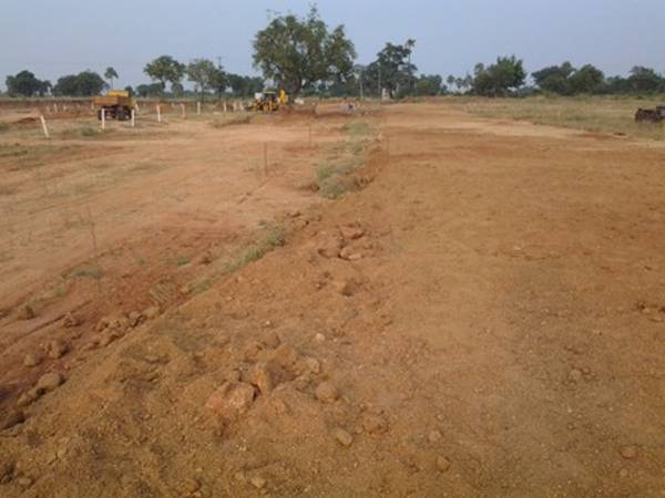 Images for Elevation of Vision Status Symbol Images for Elevation of Vision Status Symbol