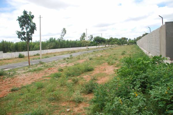 Images for Main Other of 7 Hills Properties JCR Enclave