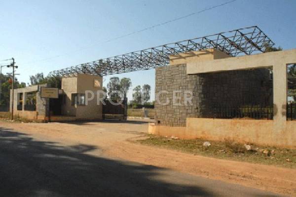 Images for Elevation of Duo Associates Marvel