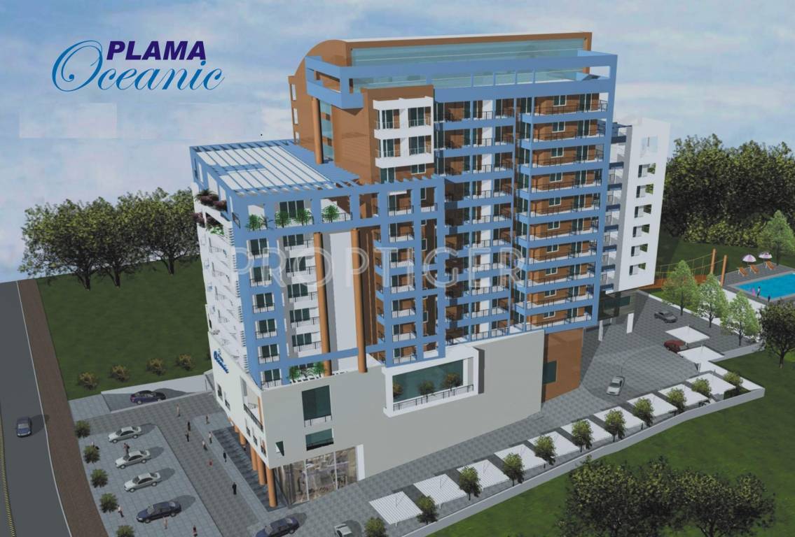 Images for Elevation of Plama Oceanic