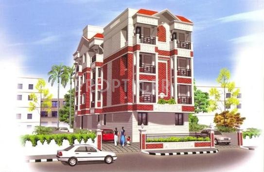 Images for Elevation of Golden Carnation Images for Elevation of Golden Carnation