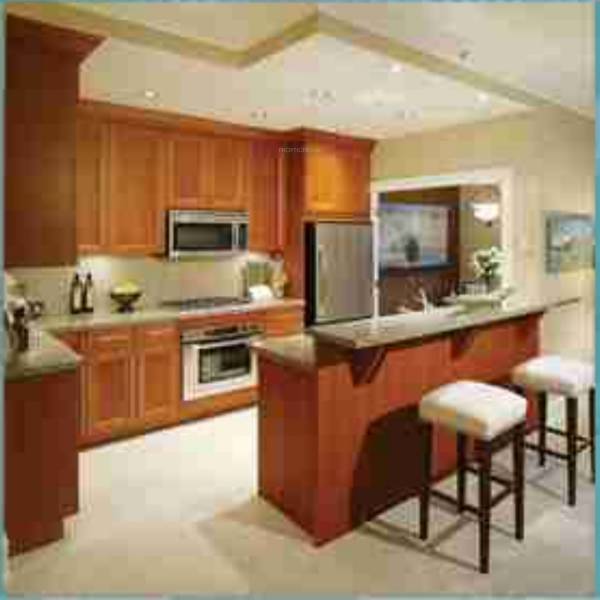 Images for Main Other of Panda Infratech Gatikrushna Lagoon