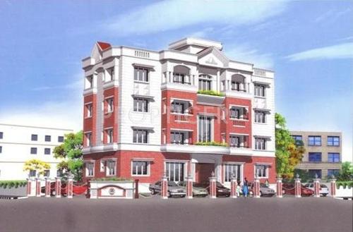 Images for Elevation of Golden Aster aster Images for Elevation of Golden Aster