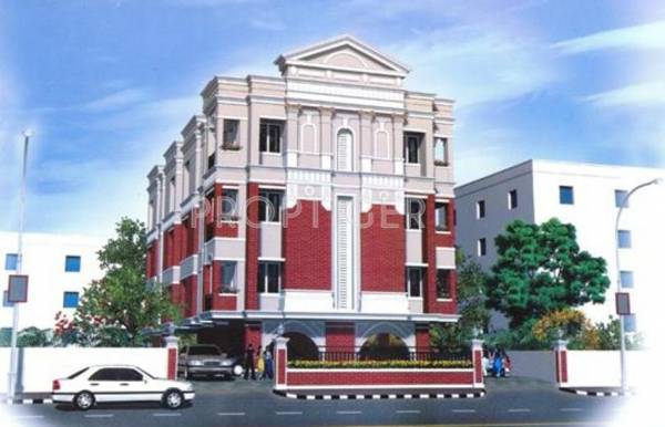  iris Images for Elevation of Golden Iris