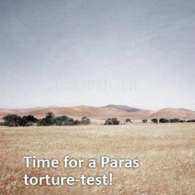 Gracelands Gold Gracelands Gold