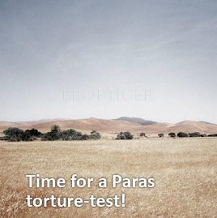 Gracelands Gold Gracelands Gold