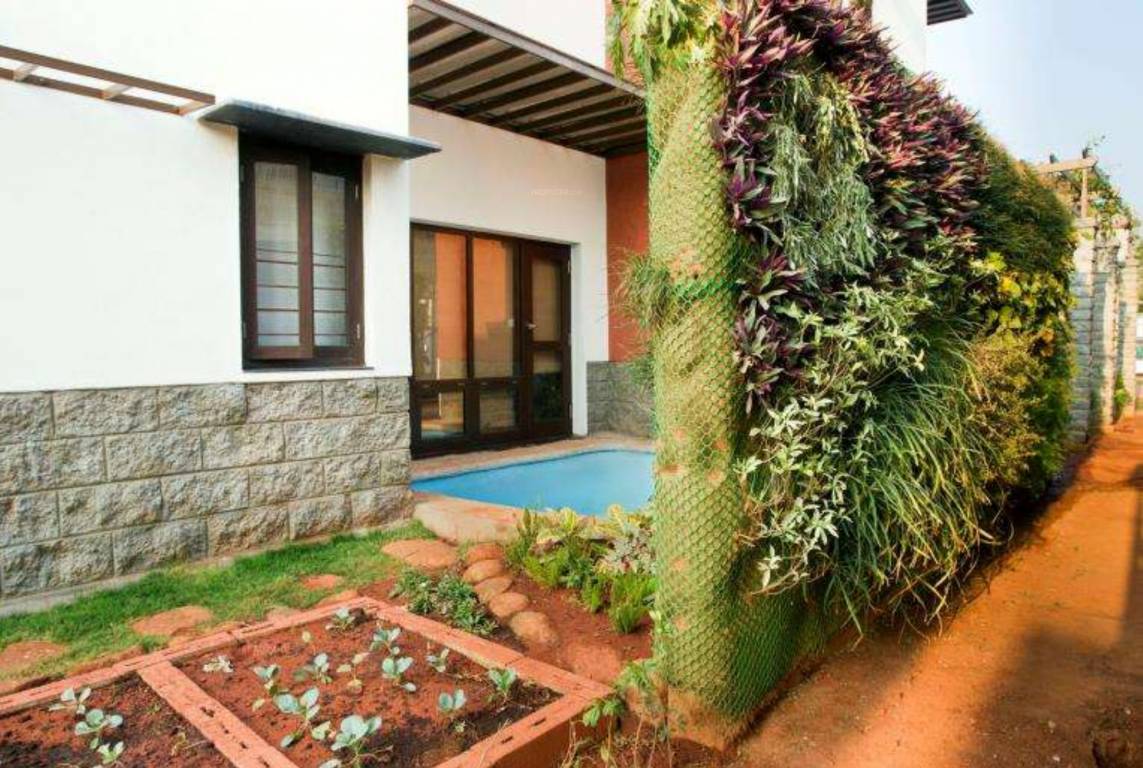 Images for Amenities of ZED Rainforest