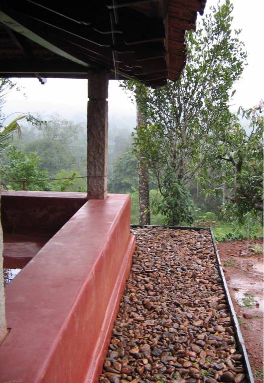 Images for Amenities of ZED Rainforest