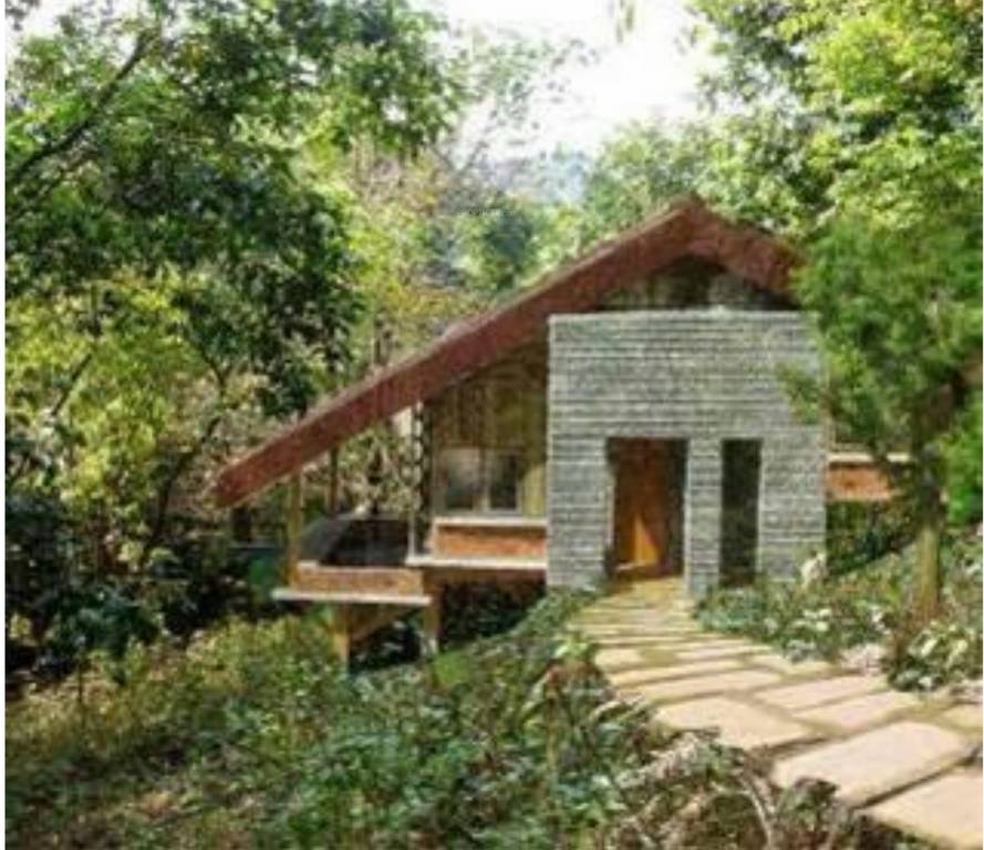 Images for Amenities of ZED Rainforest