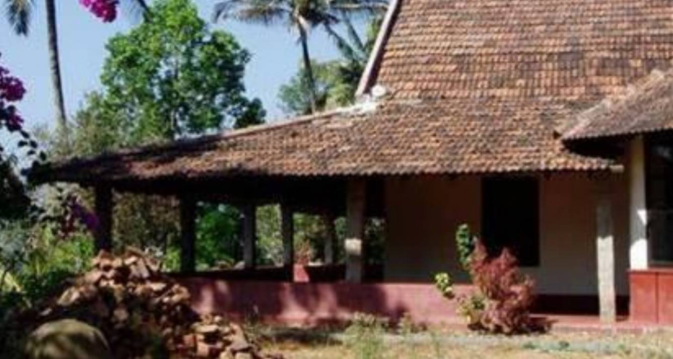 Images for Amenities of ZED Rainforest