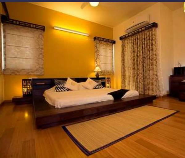 Images for Main Other of ZED Rainforest