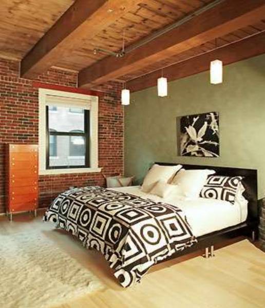 Images for Main Other of ZED Rainforest