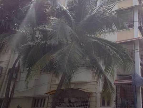 Images for Elevation of Star Sai Residency