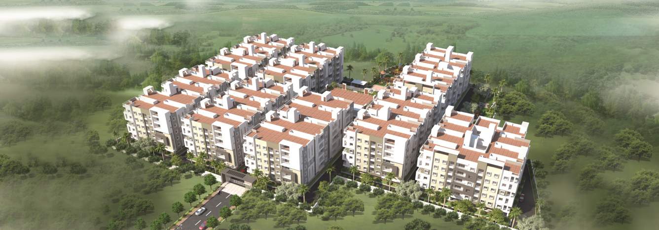 allura Images for Elevation of Divine Allura