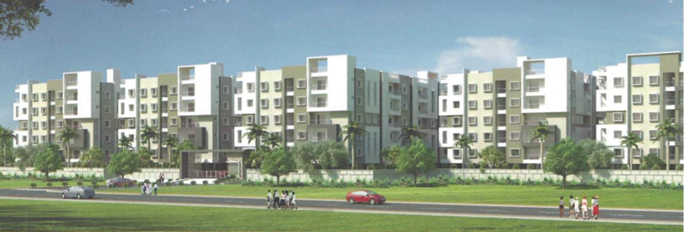 allura Images for Elevation of Divine Allura