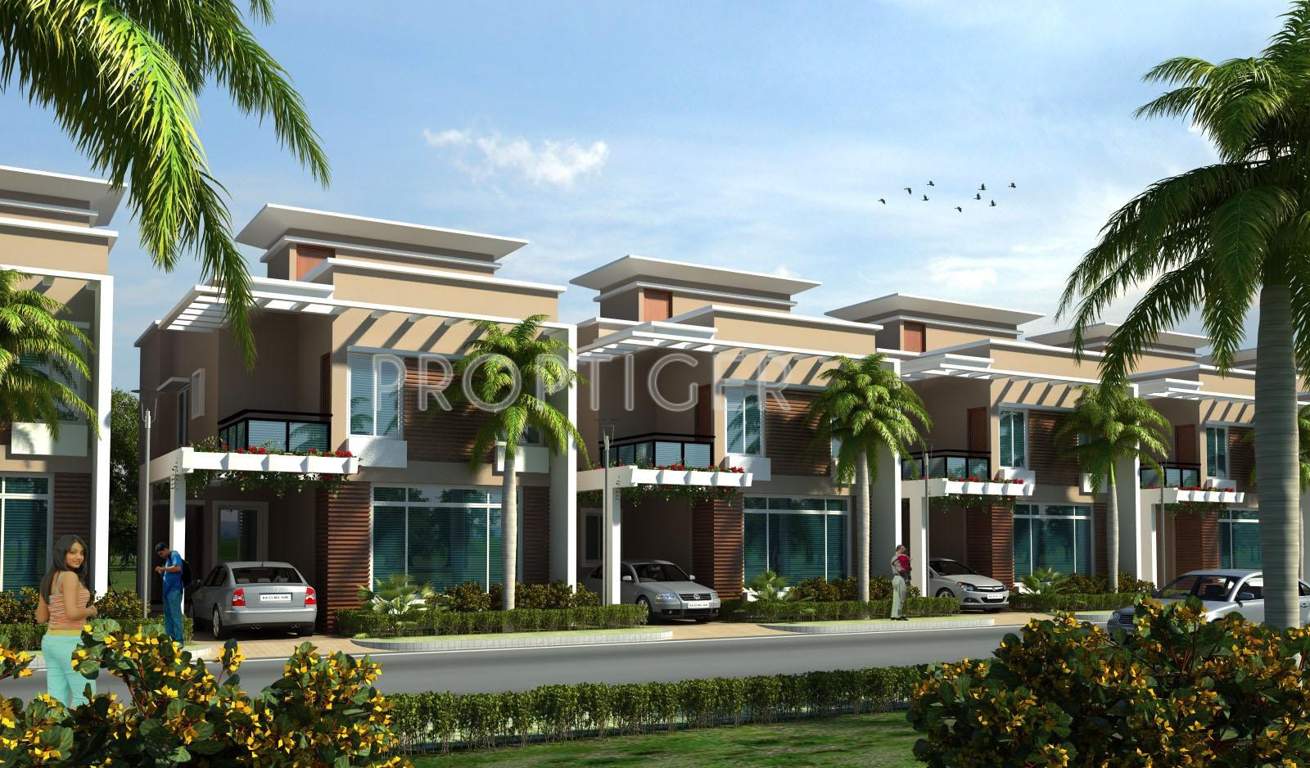  amora Images for Elevation of Aratt Amora