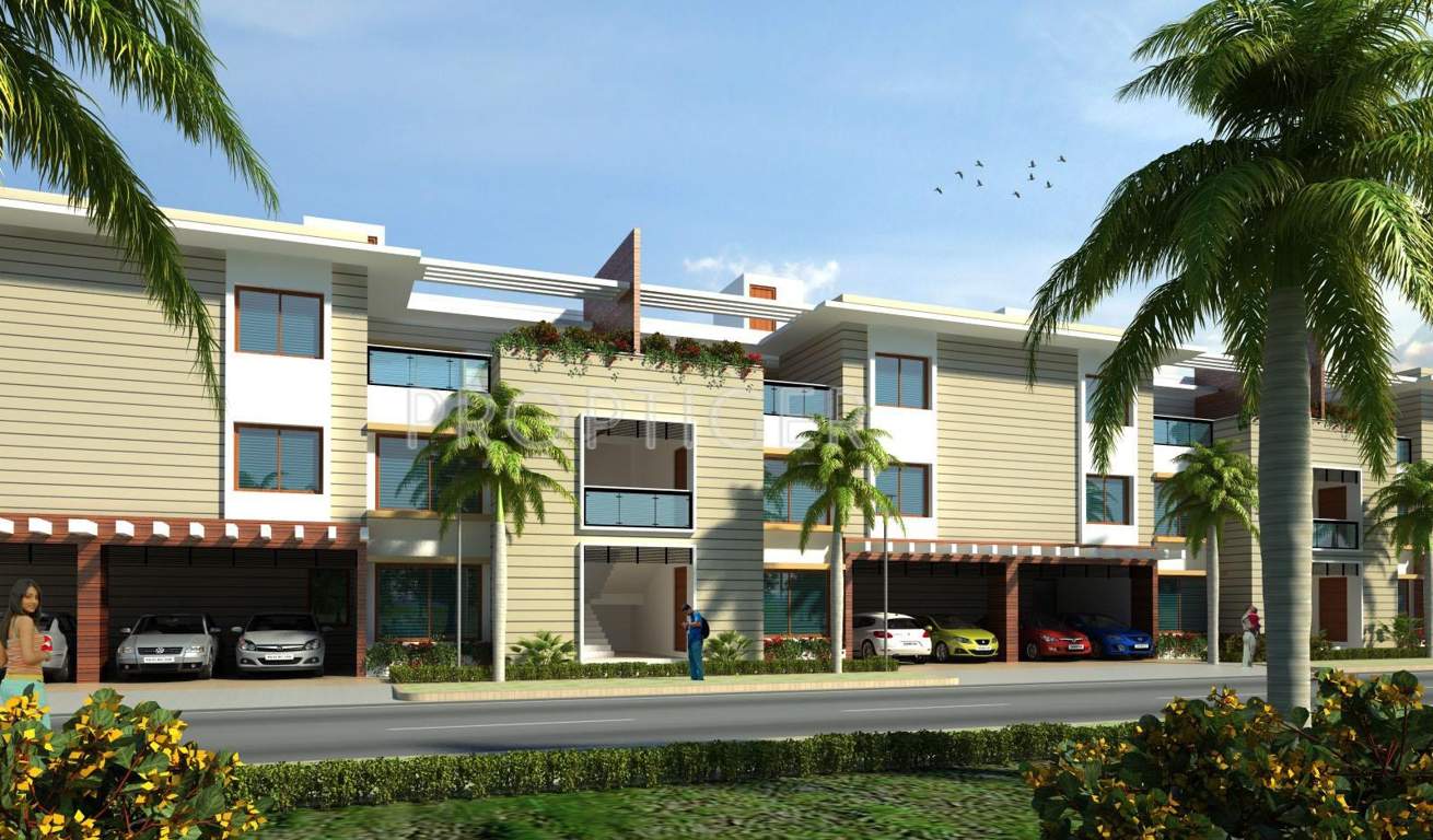  amora Images for Elevation of Aratt Amora