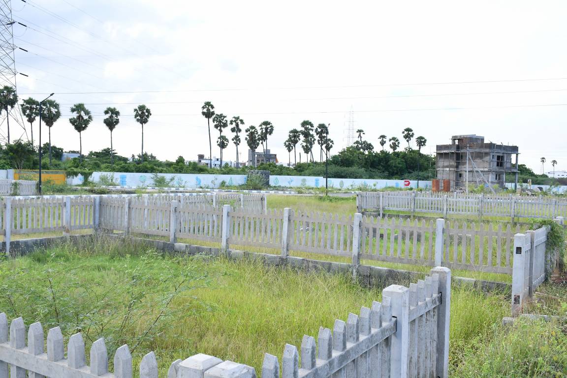 Images for mainOther