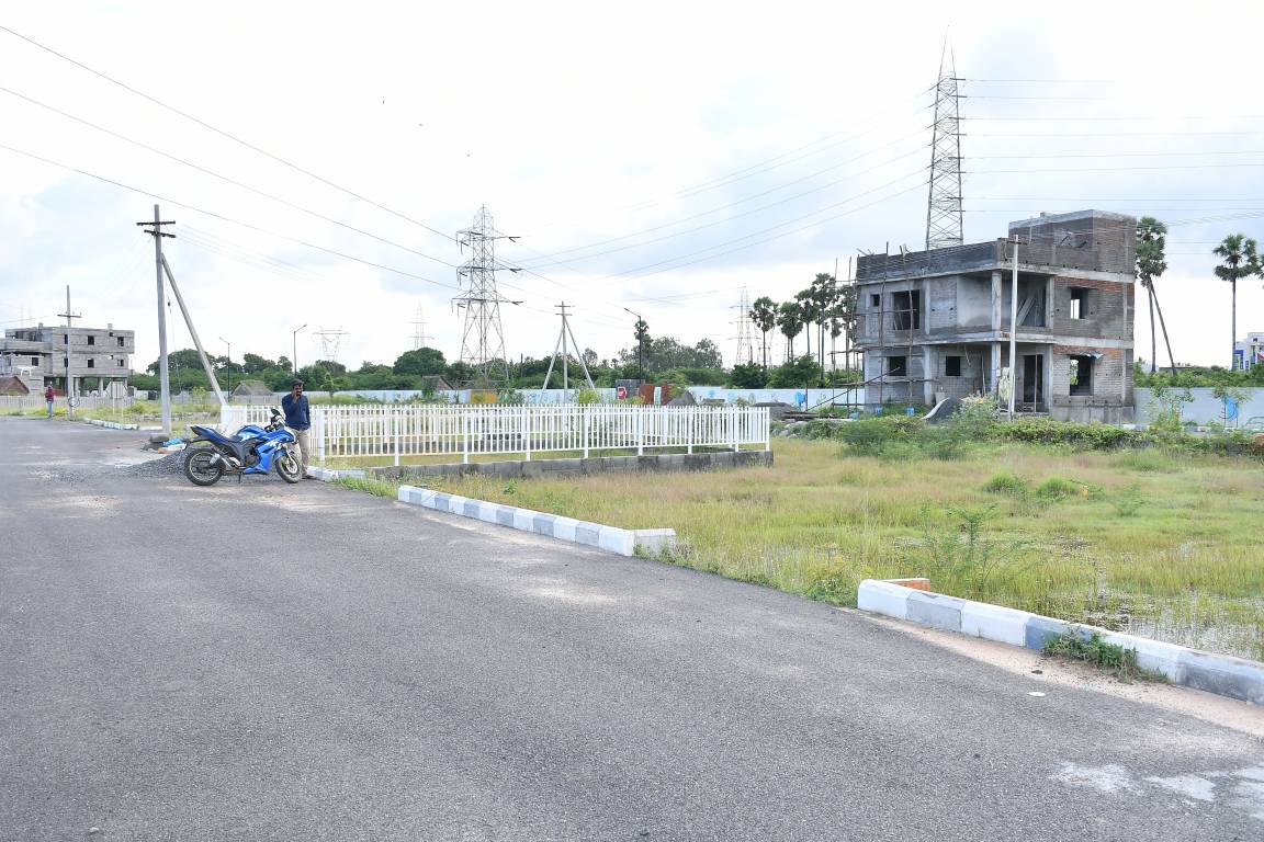 Images for mainOther