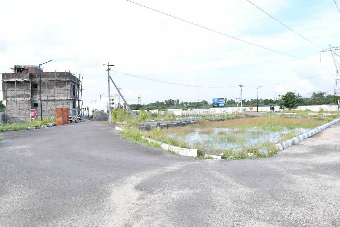 Images for mainOther