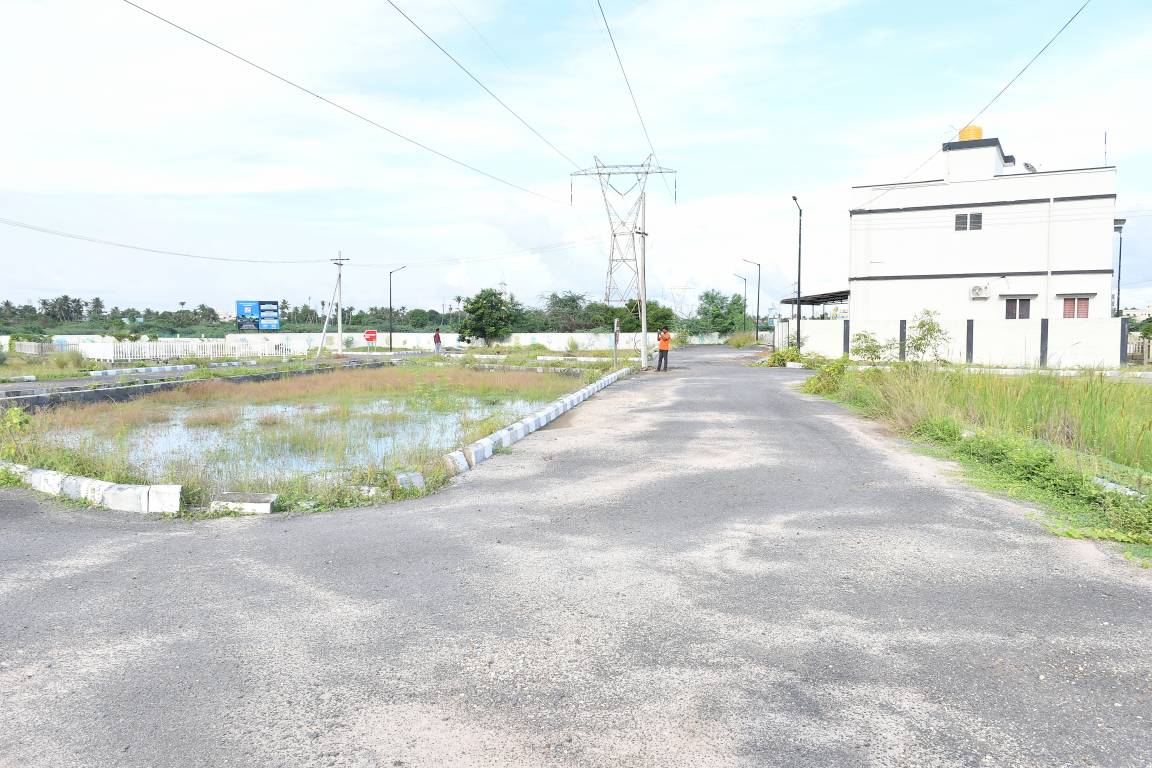 Images for mainOther