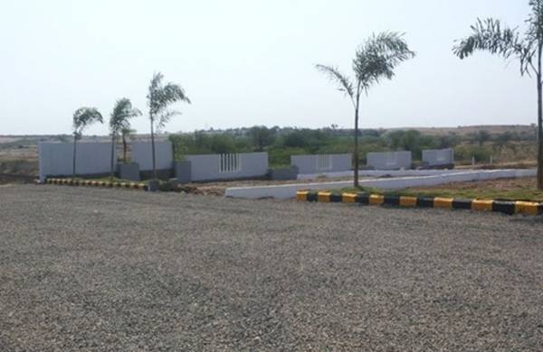 Images for Main Other of Eden Terenzio