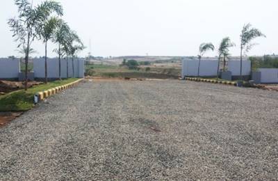 Images for Main Other of Eden Terenzio