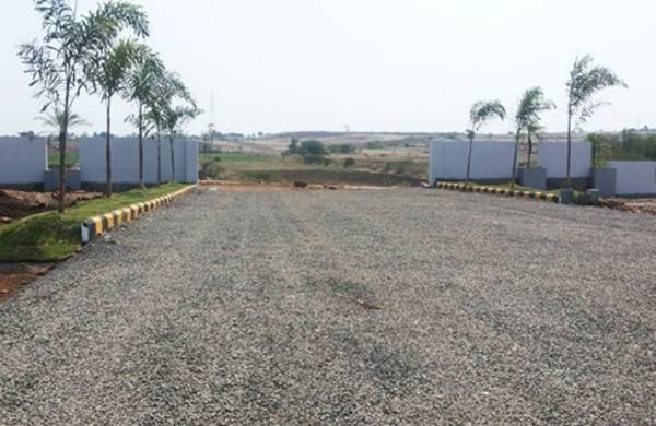 Images for Main Other of Eden Terenzio