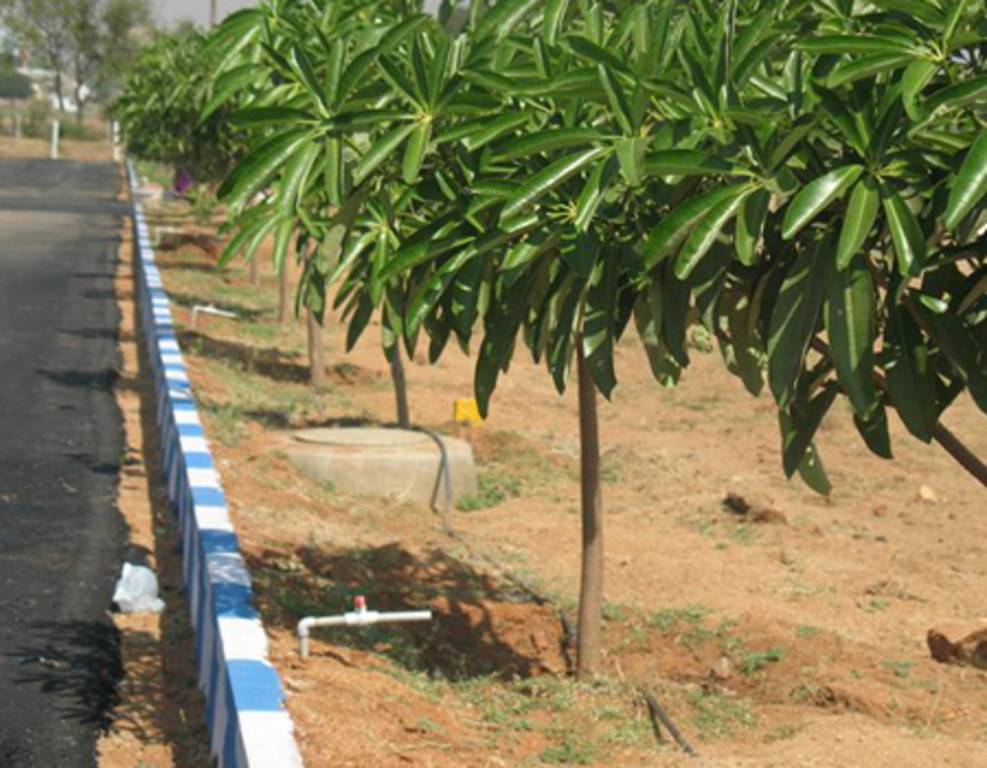 Images for Main Other of Smart City Infra Developers Lakeview