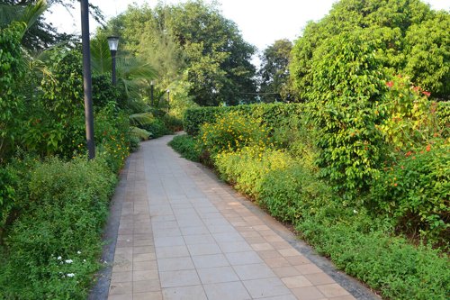  water-edge Flower Garden