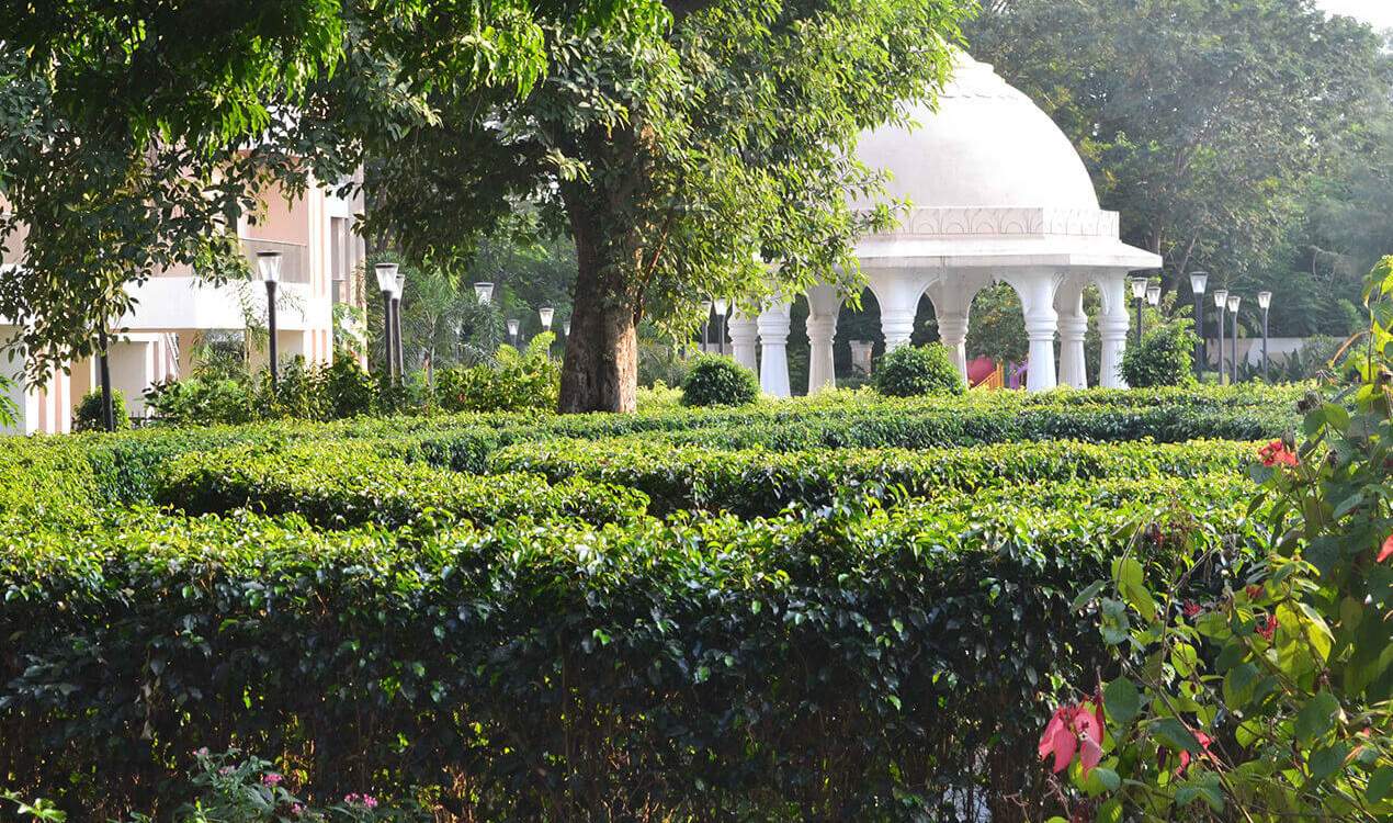  water edge Landscape Garden and Tree Planting