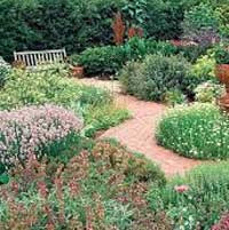 Images for Amenities of Dharitri Ultra City