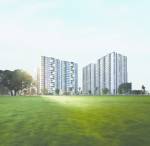 Elevation  primrose Elevation