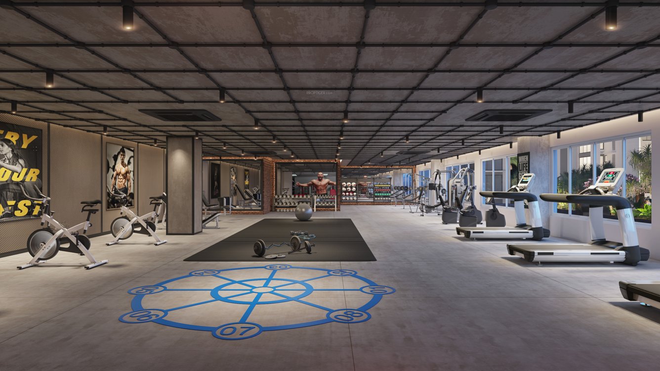  platinum joy Gymnasium