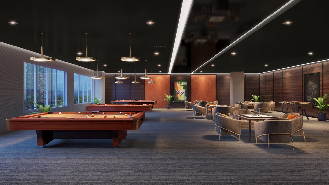  platinum joy Indoor Games