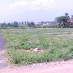 Images for Elevation of Annai Sri Srinivasa Nagar Images for Elevation of Annai Sri Srinivasa Nagar