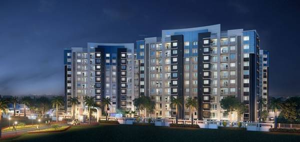 Elevation coral Elevation