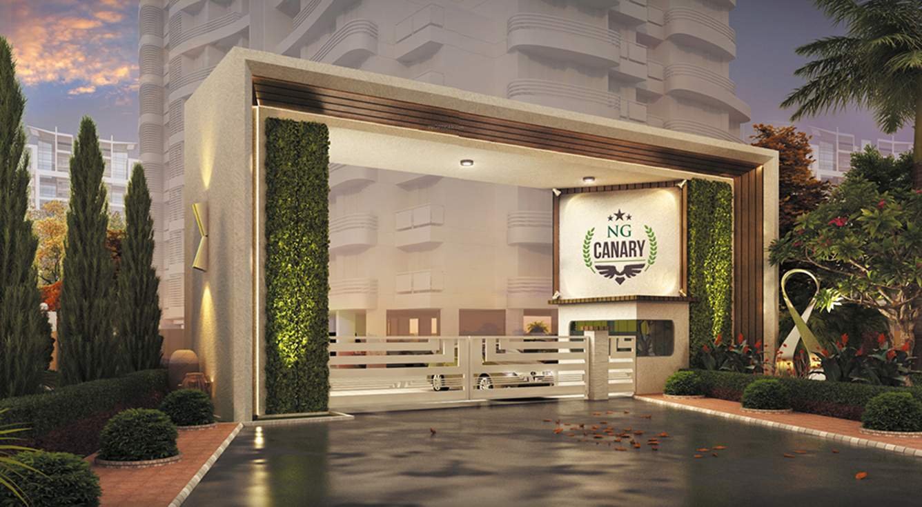 ng canary Images for Amenities of RNA NG Canary